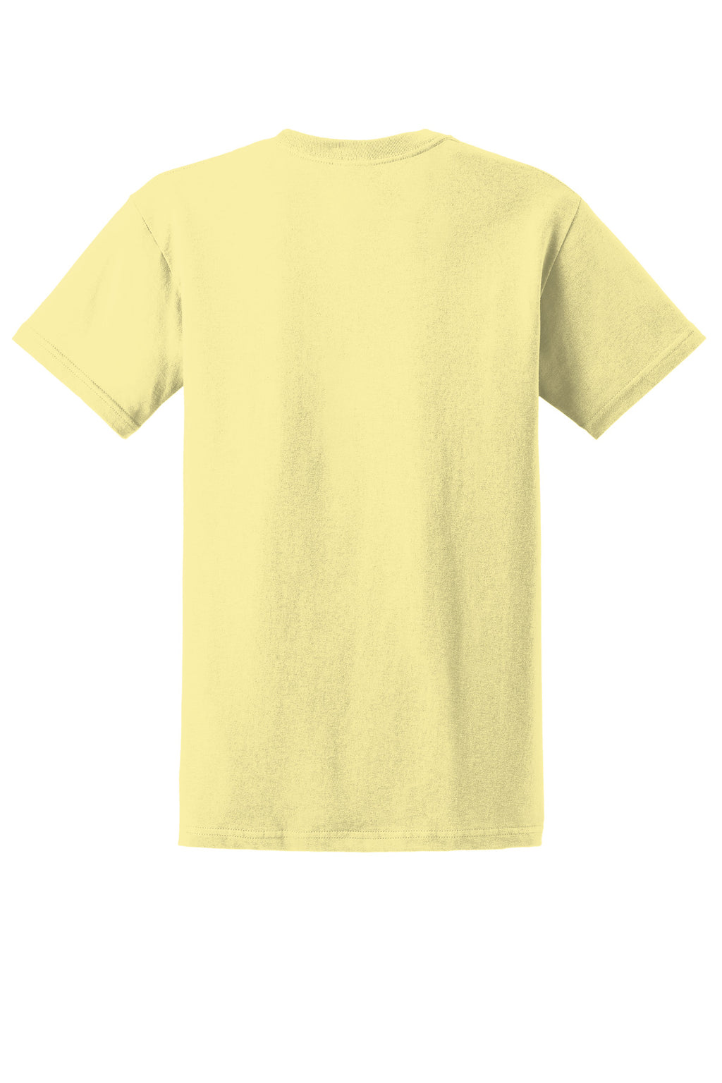 Gildan - Ultra Cotton 100% US Cotton T-Shirt.  2000