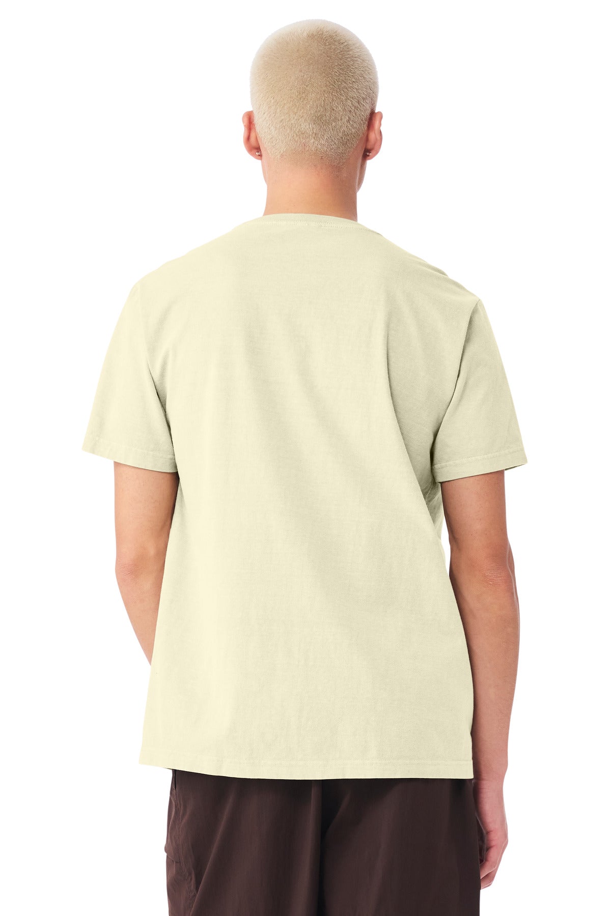 Heavyweight blank fashion tee back view for same day DTF shirts
