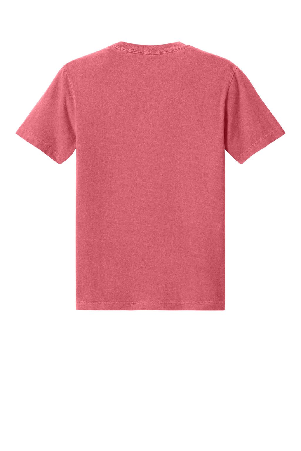 Blank cotton t-shirt back view for same day DTF shirt orders