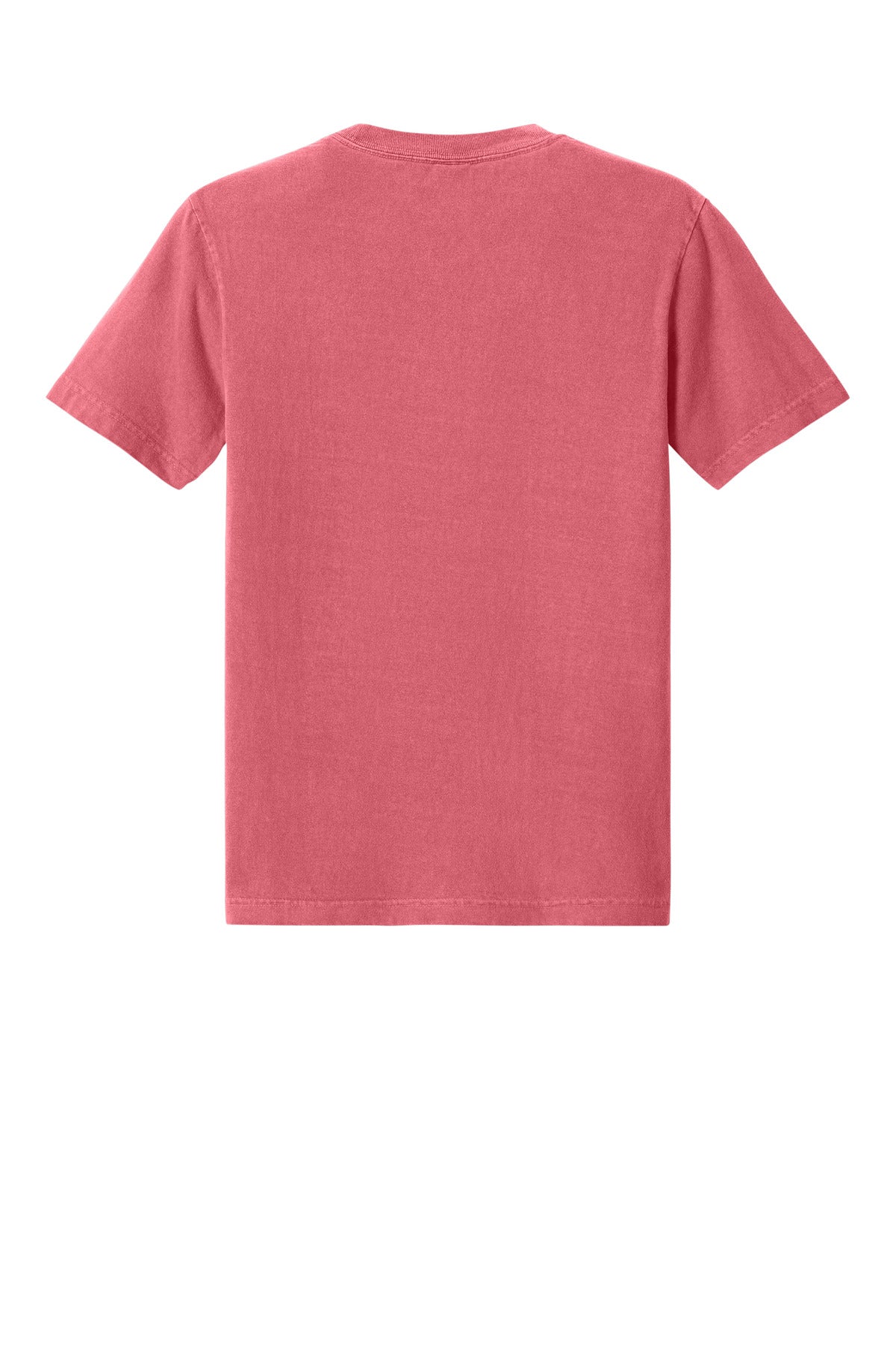 Blank cotton t-shirt back view for same day DTF shirt orders