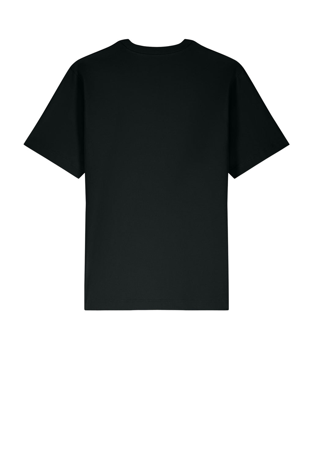 Stanley/Stella Unisex Freestyler Heavyweight Tee SXU018